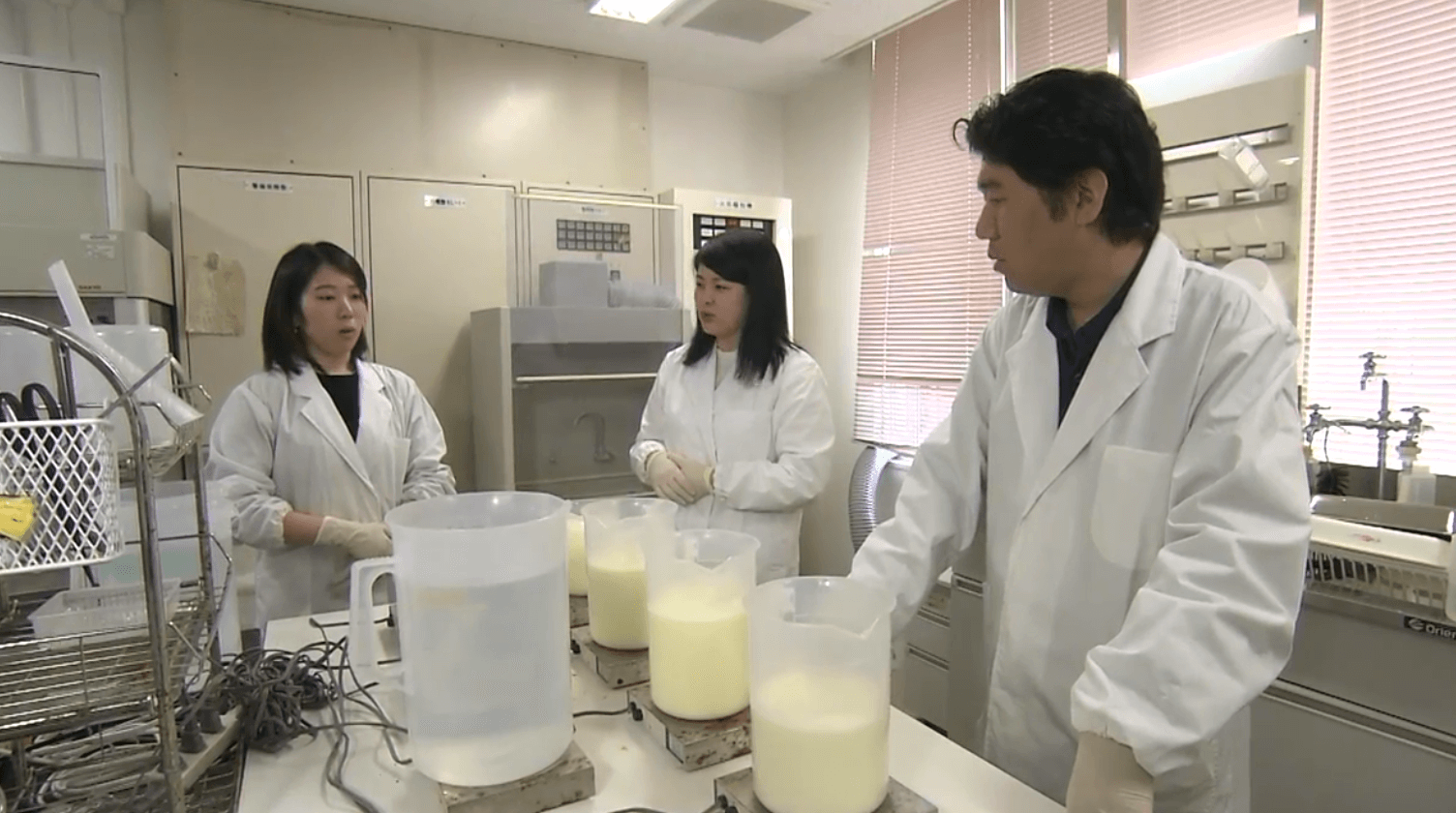 Antibodies lab